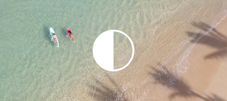 Hibiscus Wave Cheeky Bikini Bottoms For Women Roxy